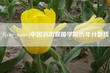牡丹江中国消防救援学院历年分数线