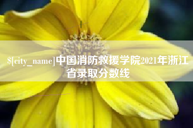 牡丹江中国消防救援学院2021年浙江省录取分数线