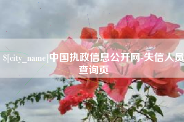牡丹江中国执政信息公开网-失信人员查询页