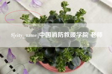 牡丹江中国消防救援学院 老师