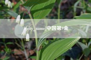 牡丹江中国第9金