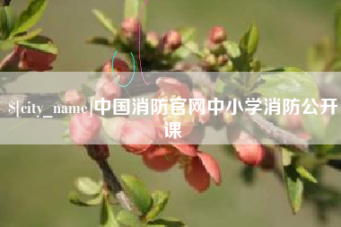 牡丹江中国消防官网中小学消防公开课