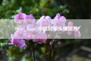 牡丹江中国冠军头像图片