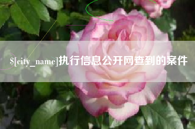 牡丹江执行信息公开网查到的案件