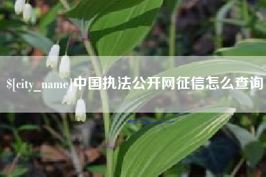 牡丹江中国执法公开网征信怎么查询