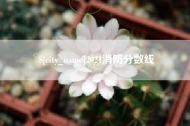 牡丹江2021消防分数线