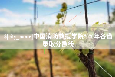 牡丹江中国消防救援学院2020年各省录取分数线