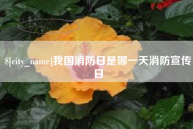 牡丹江我国消防日是哪一天消防宣传日
