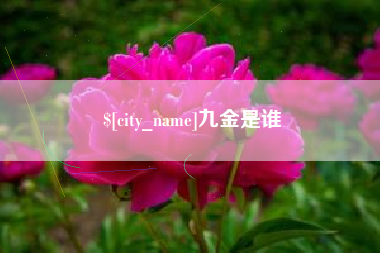 牡丹江九金是谁