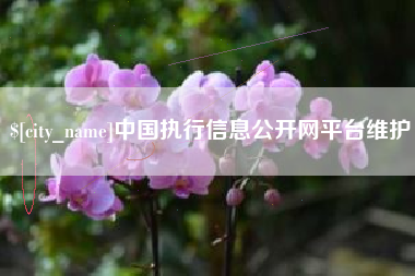 牡丹江中国执行信息公开网平台维护