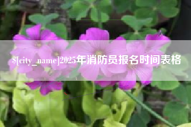 牡丹江2025年消防员报名时间表格