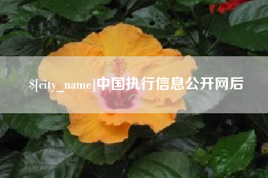 牡丹江中国执行信息公开网后