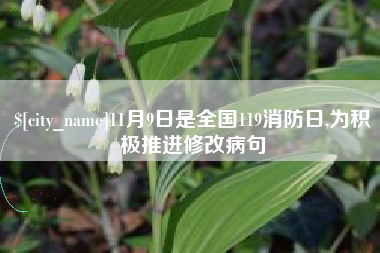 牡丹江11月9日是全国119消防日,为积极推进修改病句