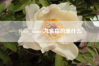 牡丹江九金指的是什么