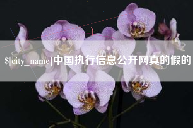 牡丹江中国执行信息公开网真的假的