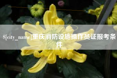 牡丹江重庆消防设施操作员证报考条件