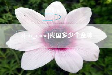 牡丹江我国多少个金牌