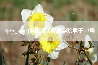 牡丹江中国消防救援学院属于985吗