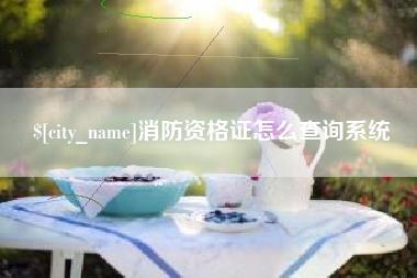 牡丹江消防资格证怎么查询系统