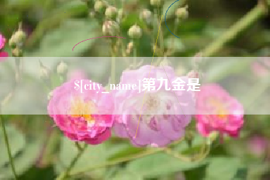 牡丹江第九金是
