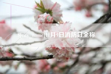 牡丹江11月9日消防日全称