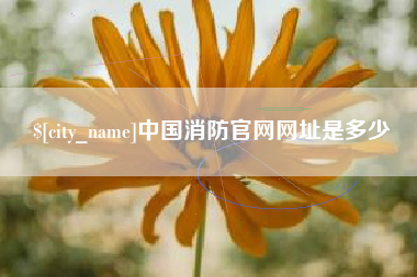 牡丹江中国消防官网网址是多少