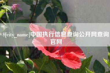 牡丹江中国执行信息查询公开网查询官网