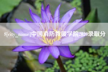 牡丹江中国消防救援学院2020录取分