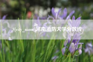 牡丹江河南消防大学分数线