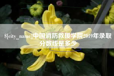 牡丹江中国消防救援学院2019年录取分数线是多少