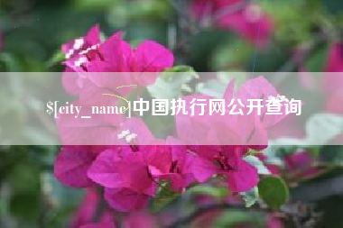 牡丹江中国执行网公开查询