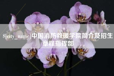 牡丹江中国消防救援学院简介及招生章程指挥部