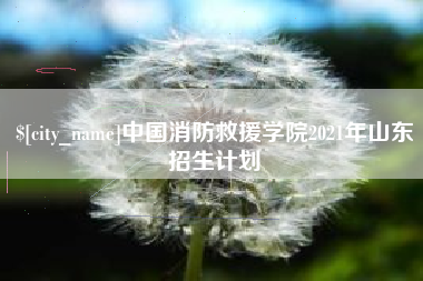 牡丹江中国消防救援学院2021年山东招生计划