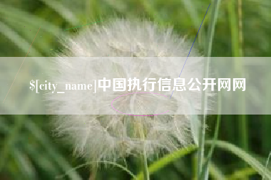 牡丹江中国执行信息公开网网