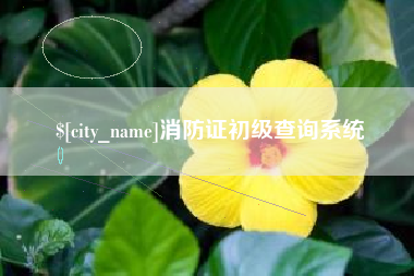 牡丹江消防证初级查询系统