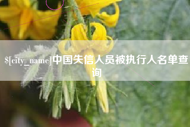 牡丹江中国失信人员被执行人名单查询