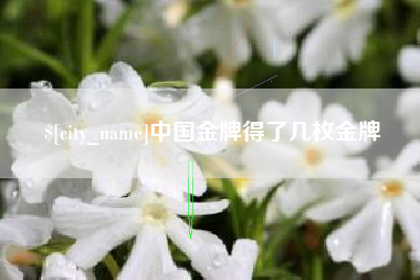 牡丹江中国金牌得了几枚金牌