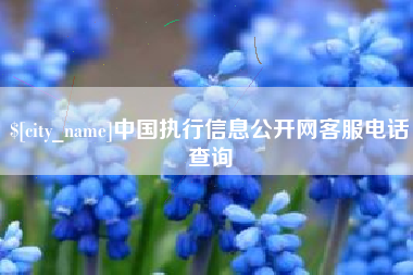 牡丹江中国执行信息公开网客服电话查询