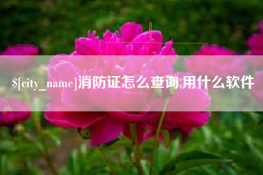牡丹江消防证怎么查询,用什么软件