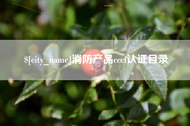 牡丹江消防产品cccf认证目录