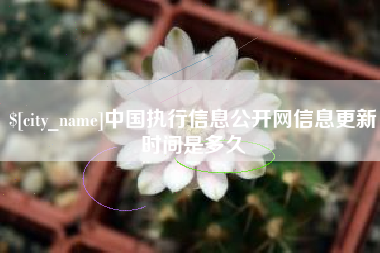 牡丹江中国执行信息公开网信息更新时间是多久