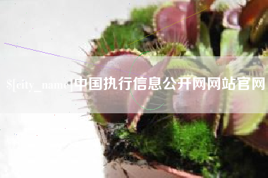 牡丹江中国执行信息公开网网站官网