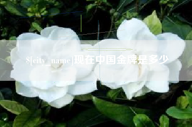 牡丹江现在中国金牌是多少