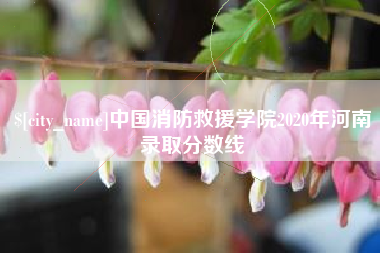 牡丹江中国消防救援学院2020年河南录取分数线