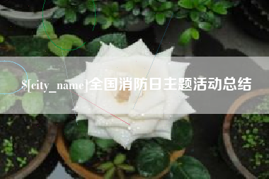 牡丹江全国消防日主题活动总结