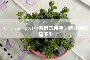 牡丹江2021中国消防救援学院分数线是多少