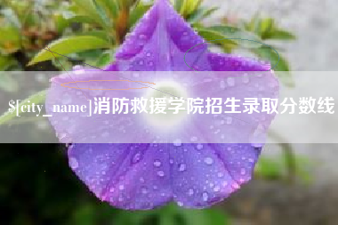 牡丹江消防救援学院招生录取分数线