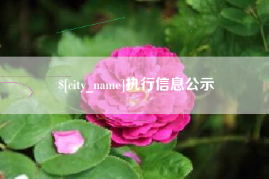 牡丹江执行信息公示