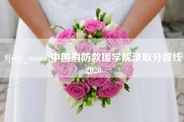 牡丹江中国消防救援学院录取分数线2020