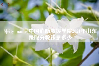 牡丹江中国消防救援学院2021年山东录取分数线是多少